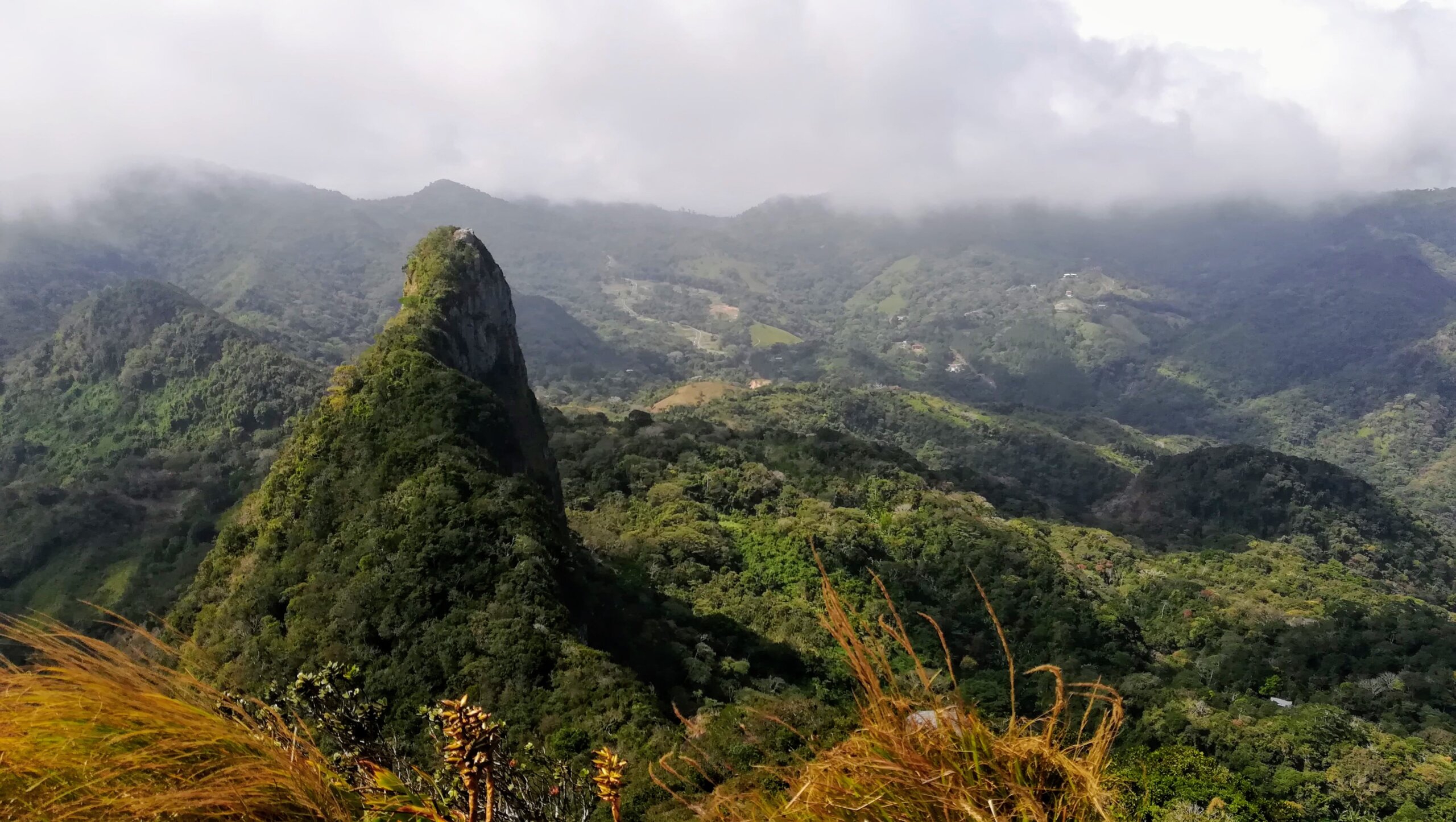 cerro picacho laguna san carlos