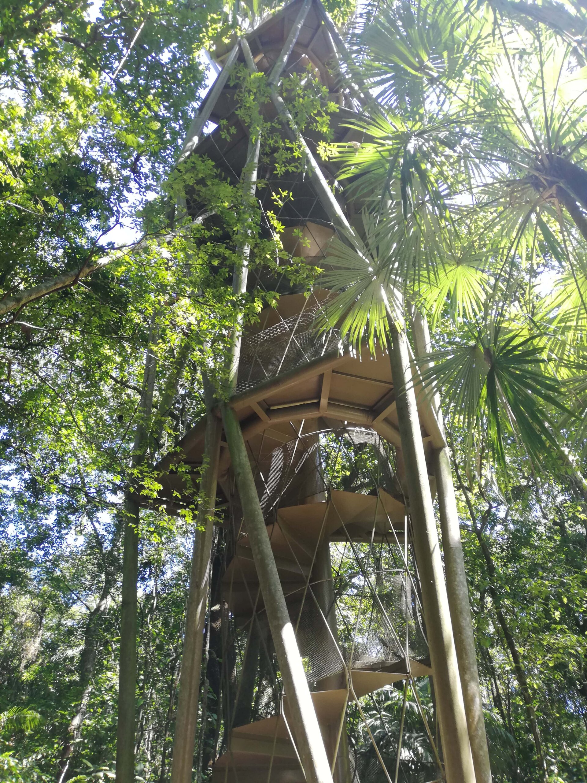 torre del rainforest discovery center panama