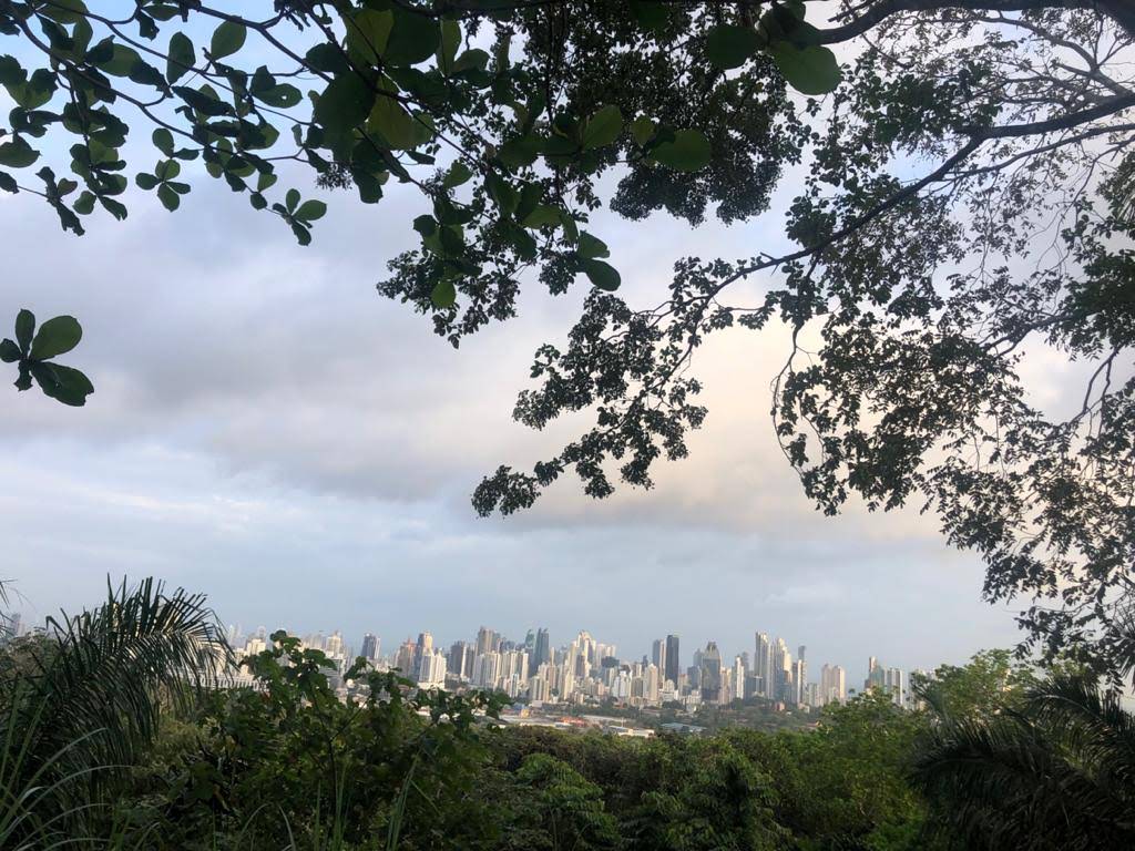 vista desde cerro cedro parque metropolitano panama