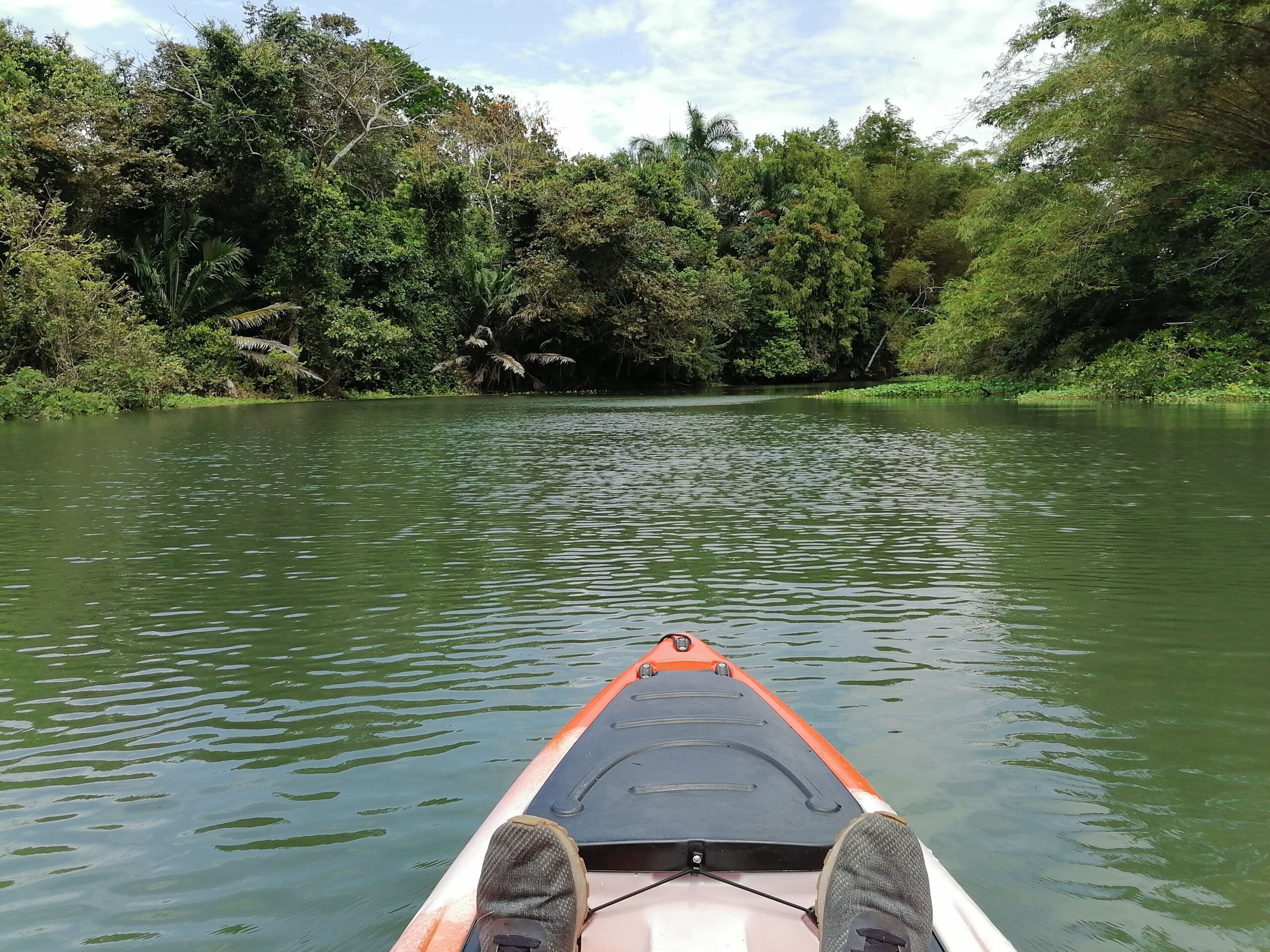 kayak en gamboa panama