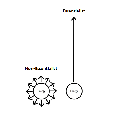 essentialism greg mckowan